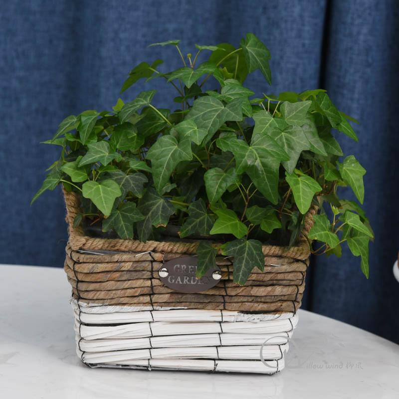 柳风收纳，客厅收纳柳编筐