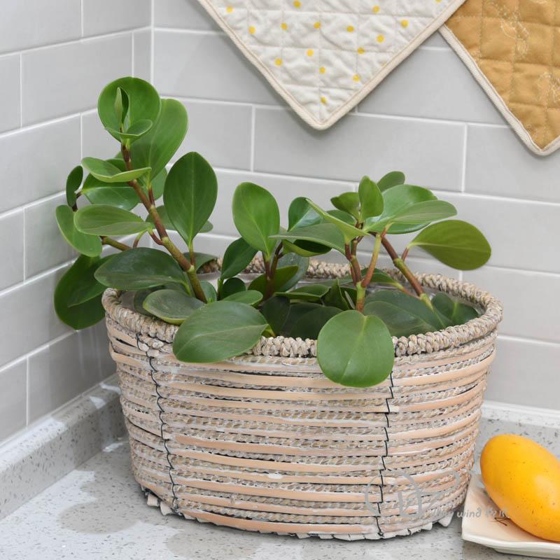 柳风收纳，客厅收纳柳编筐