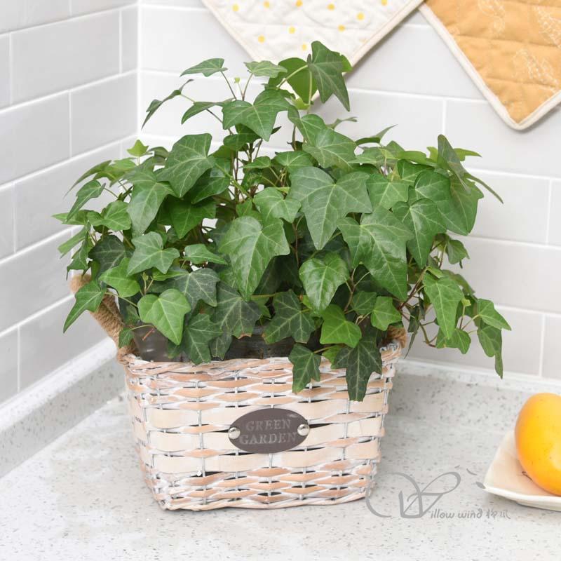 柳风收纳，客厅收纳柳编筐